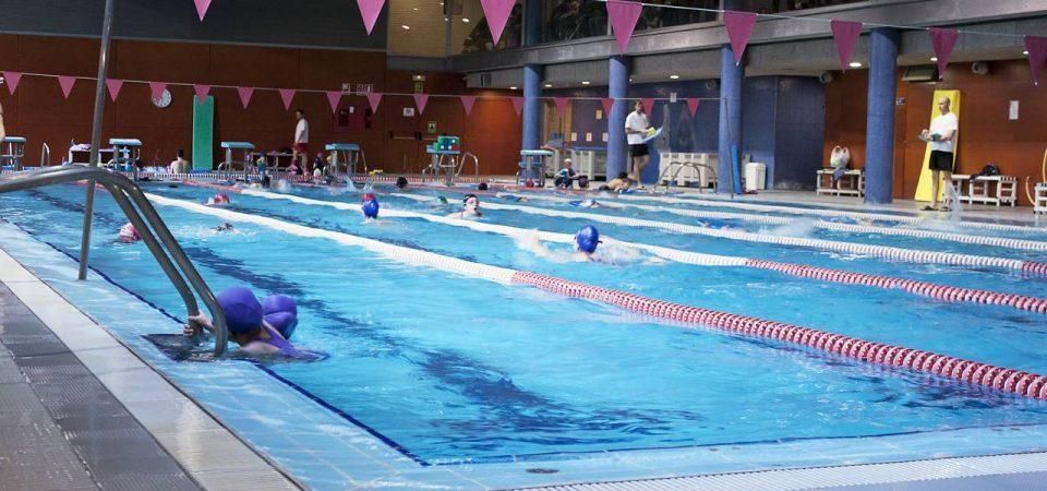 A group of people are swimming in a large swimming pool.