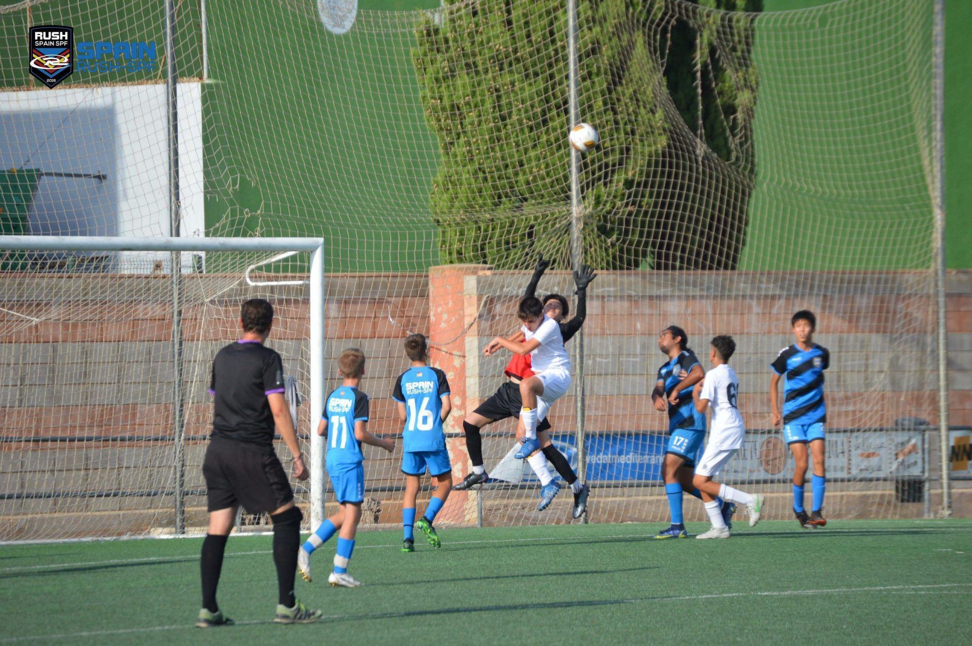 A group of young boys are playing soccer on a field.