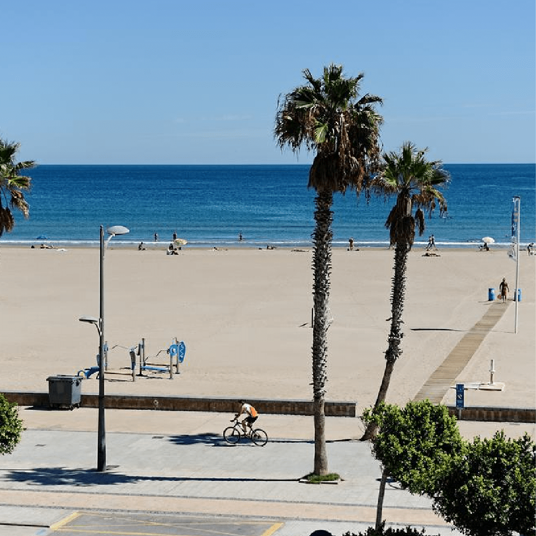 A person riding a bike on a beach with palm trees in the foreground