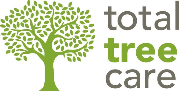 Professional Arborist in Melbourne Professional Arborist in Melbourne