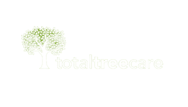 Total Tree Care Fav Icon Total Tree Care Fav Icon