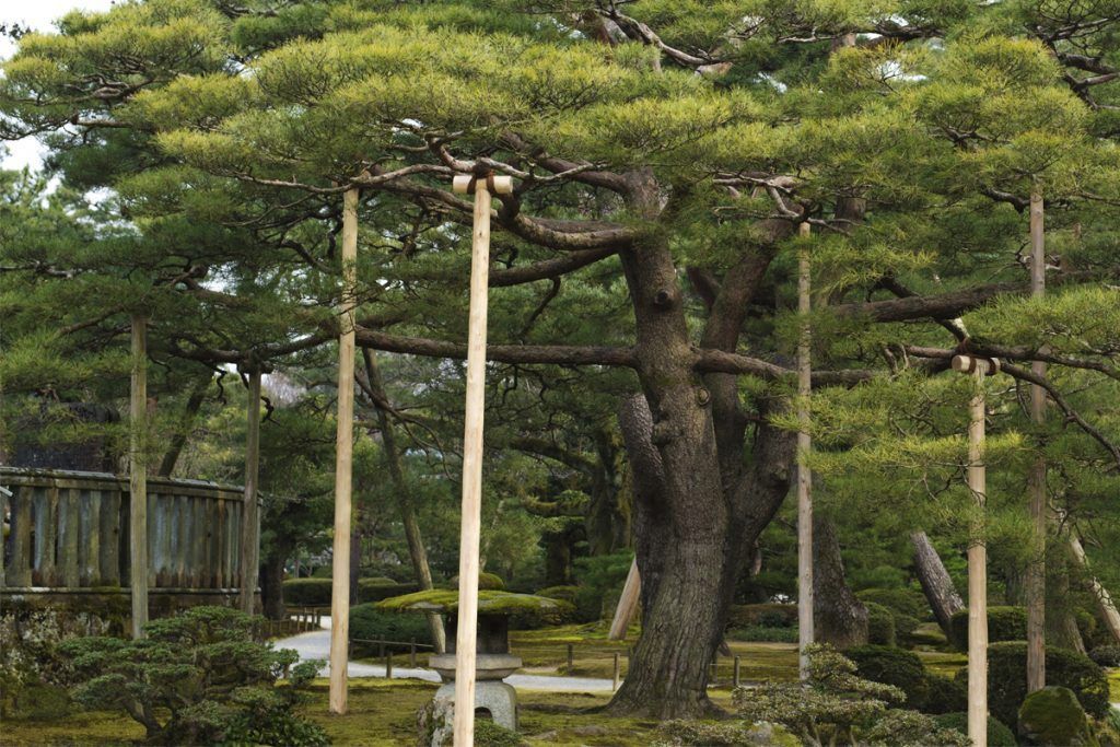 Structural cable bracing