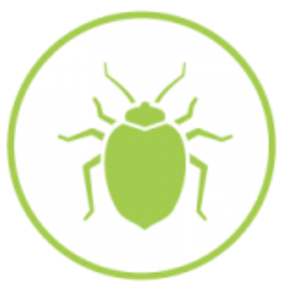 Elm Leaf Beetle Control, Total Tree Care