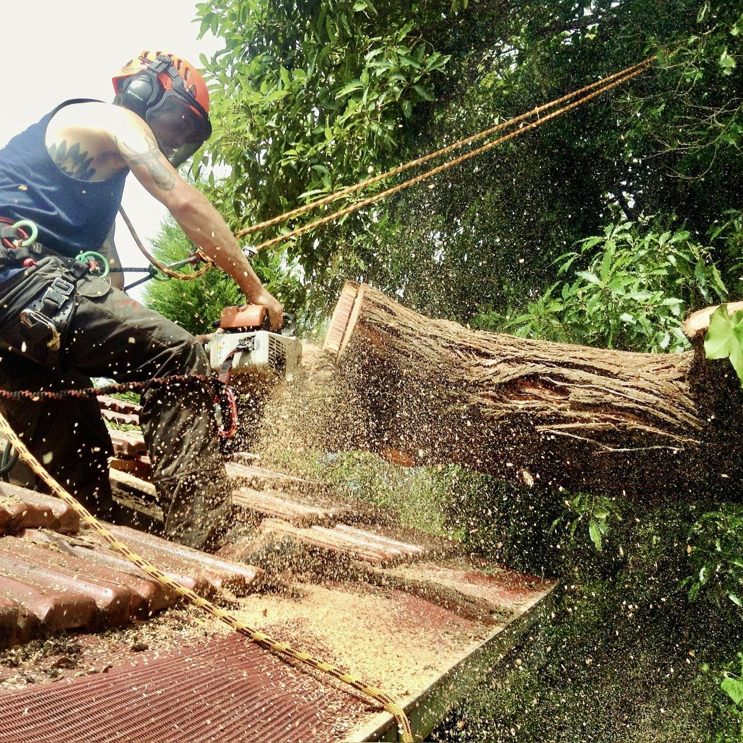 Arborist Cuts Tree Branch With a Chainsaw on a Rooftop — Total Tree Care In Dandenong, VIC