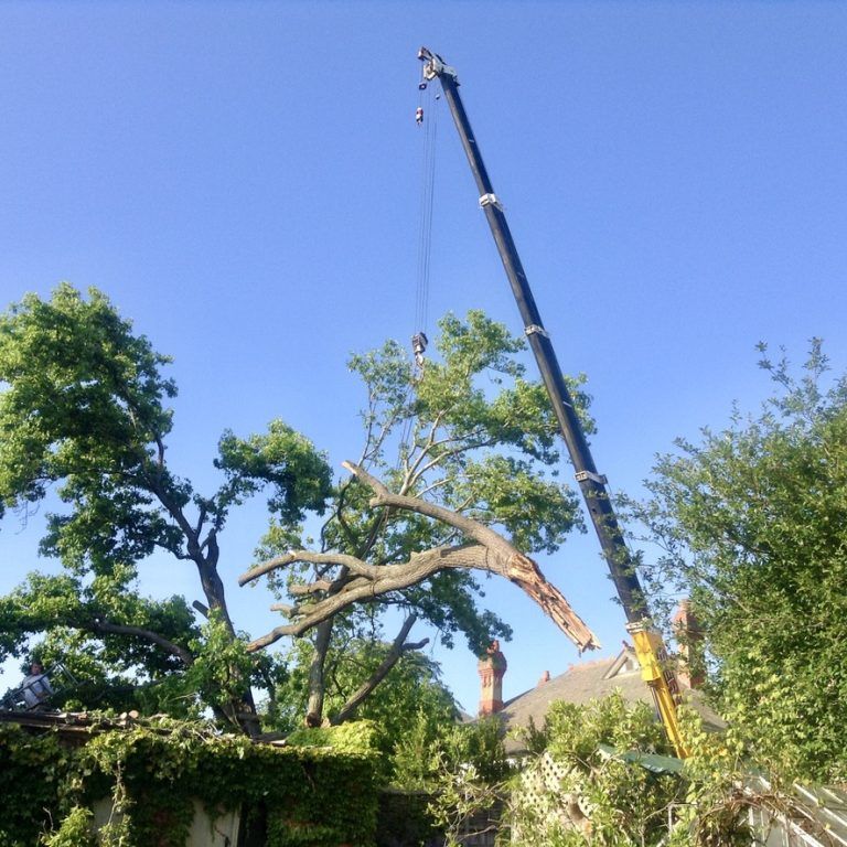 A072D427-5F61-4CA7-8724-16A54B0BCDF1_1_105_c