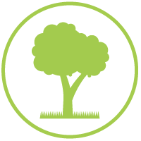 Tree-Pruning-icon