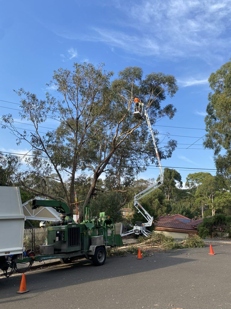 79682D5D-266C-4A1E-959A-B3CAD2020E9F_1_102_o