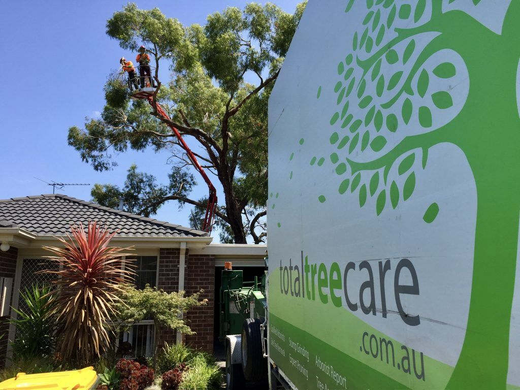 432AF7A2-9420-47DB-9DF1-D9428DD985F2_1_102_a