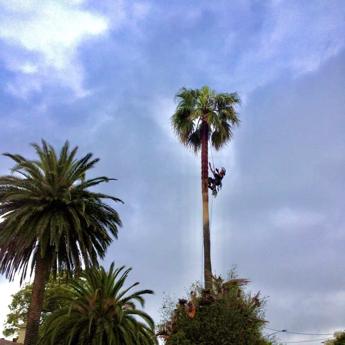 30D411FD-2B89-4DFA-AD56-CC17E148388E_1_102_a