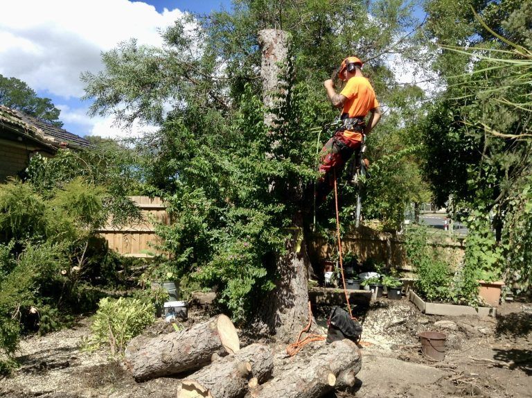 1DA03A2C-48D5-4C7E-9A0A-36A52080B292_1_102_a