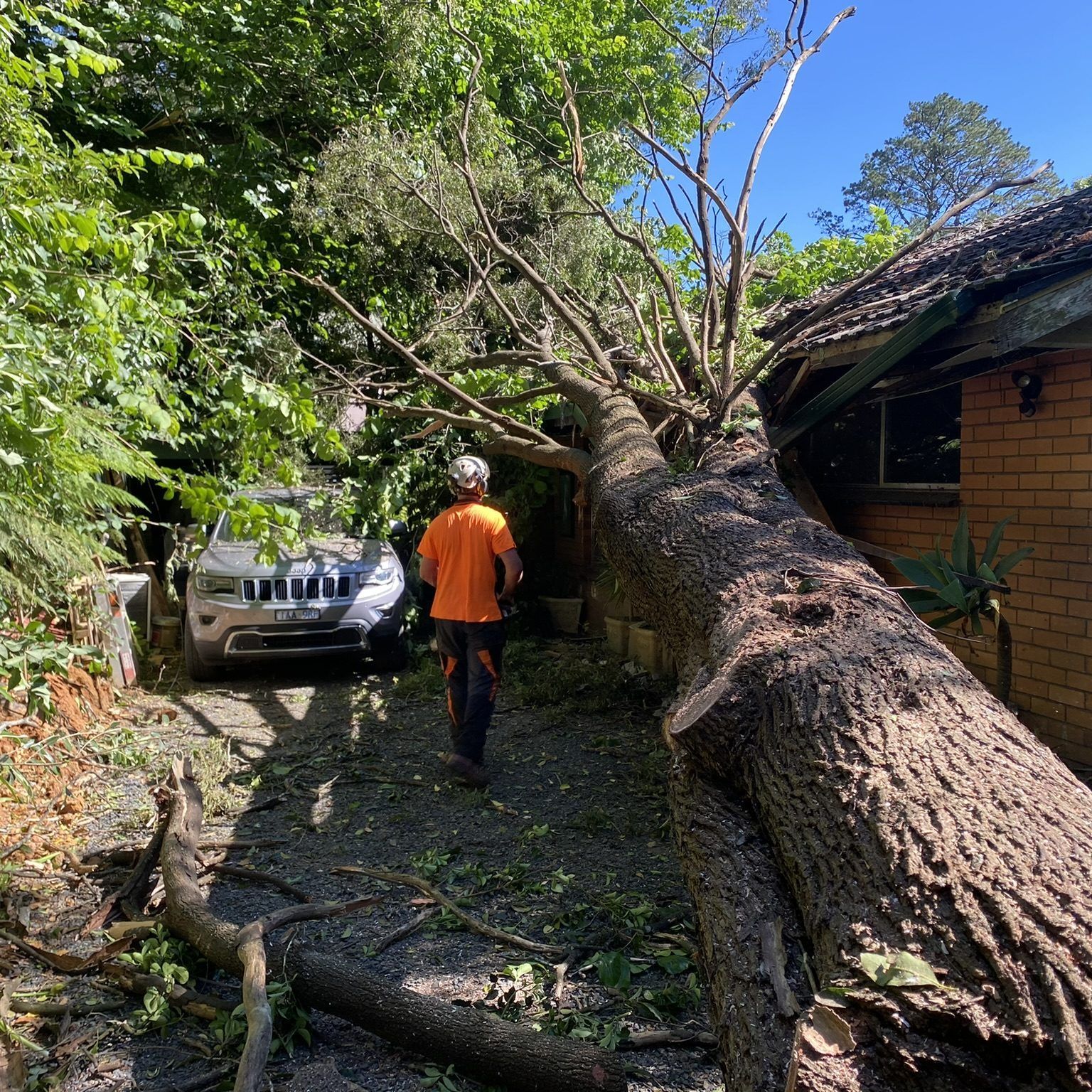 DFBA46A0-89E1-4CCB-A3BA-B9F9CD2D3AD1_1_102_o