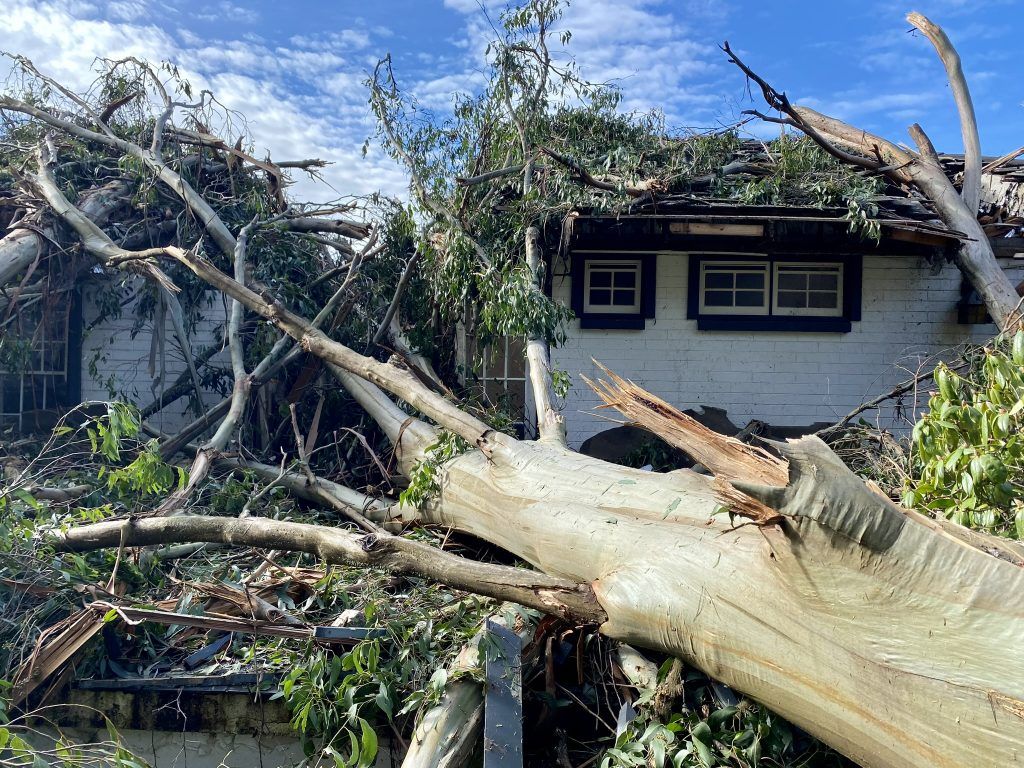 4EA06DA0-90FD-4E5F-84A4-3CCAFB26B0AB_1_102_a