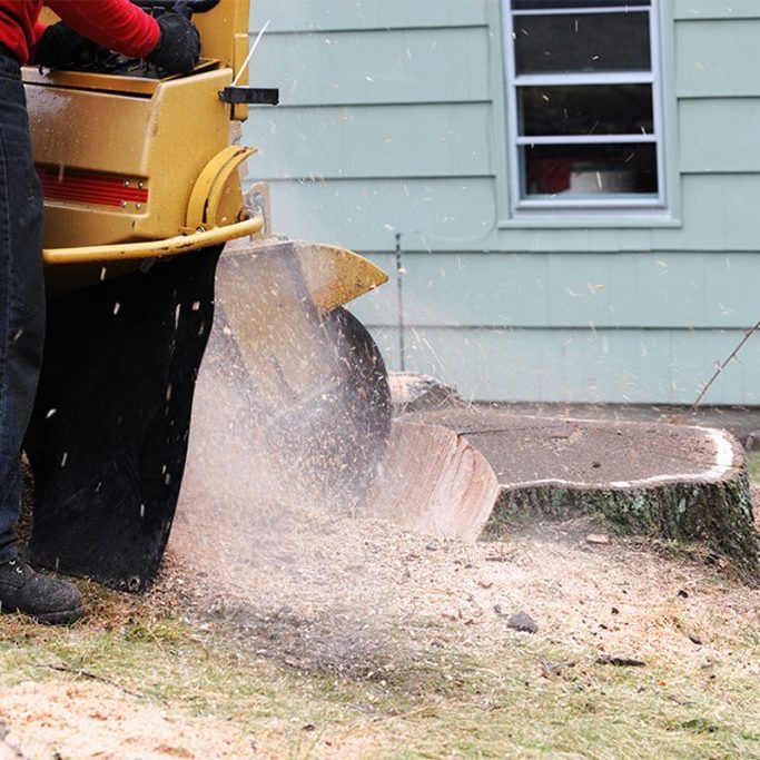 Tree Stump Grinding