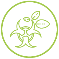 Tree Hazard, Total Tree Care 