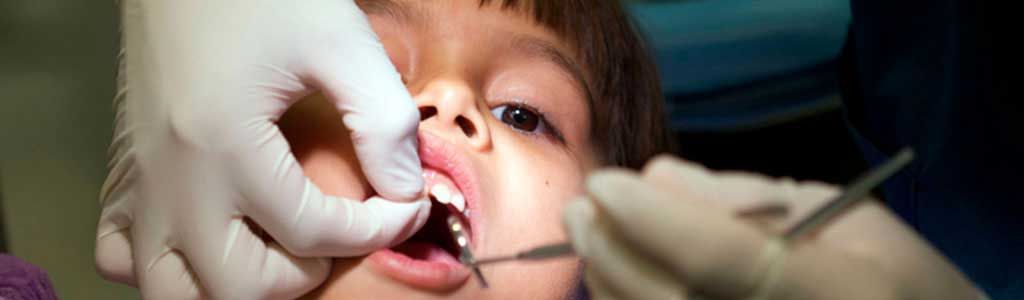 MÉDICO CIRUJANO DENTISTA: ROSA ELBA GARCÍA MARTÍNEZ CÉDULA PROF.: 1204438 UNIVERSIDAD AUTÓNOMA BENITO JUÁREZ DE OAXACA ESPECIALIDAD: ODONTOPEDIATRÍA CÉDULA DE ESPECIALIDAD: 3168182 UNIVERSIDAD NACIONAL AUTÓNOMA DE MÉXICO