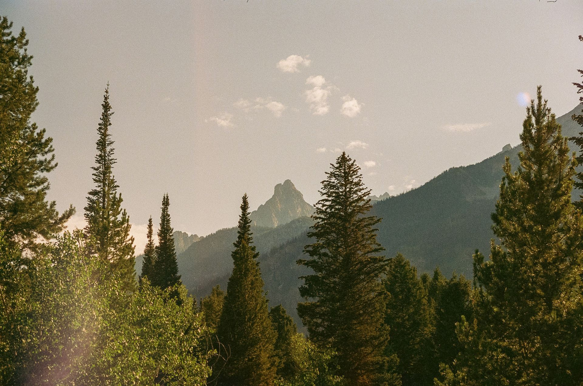 Mountains in the distance, framed by tall evergreen trees under a pale sky.