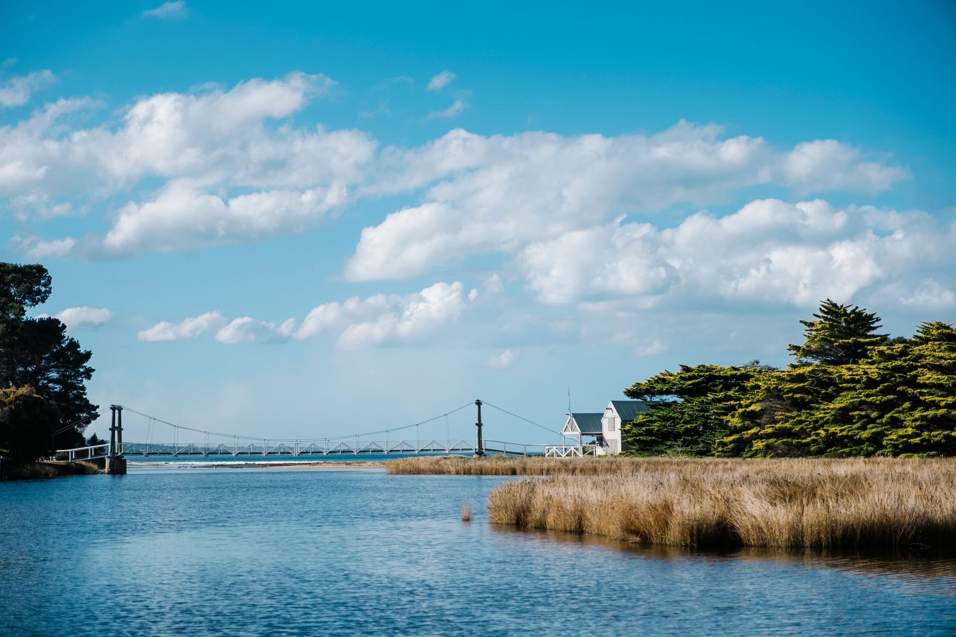 Calm blue water with reeds and white building under blue sky with fluffy clouds.