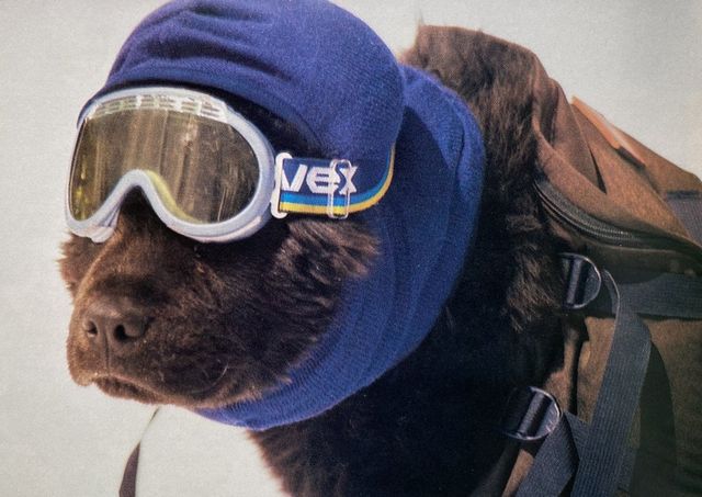 North Face Catalogues