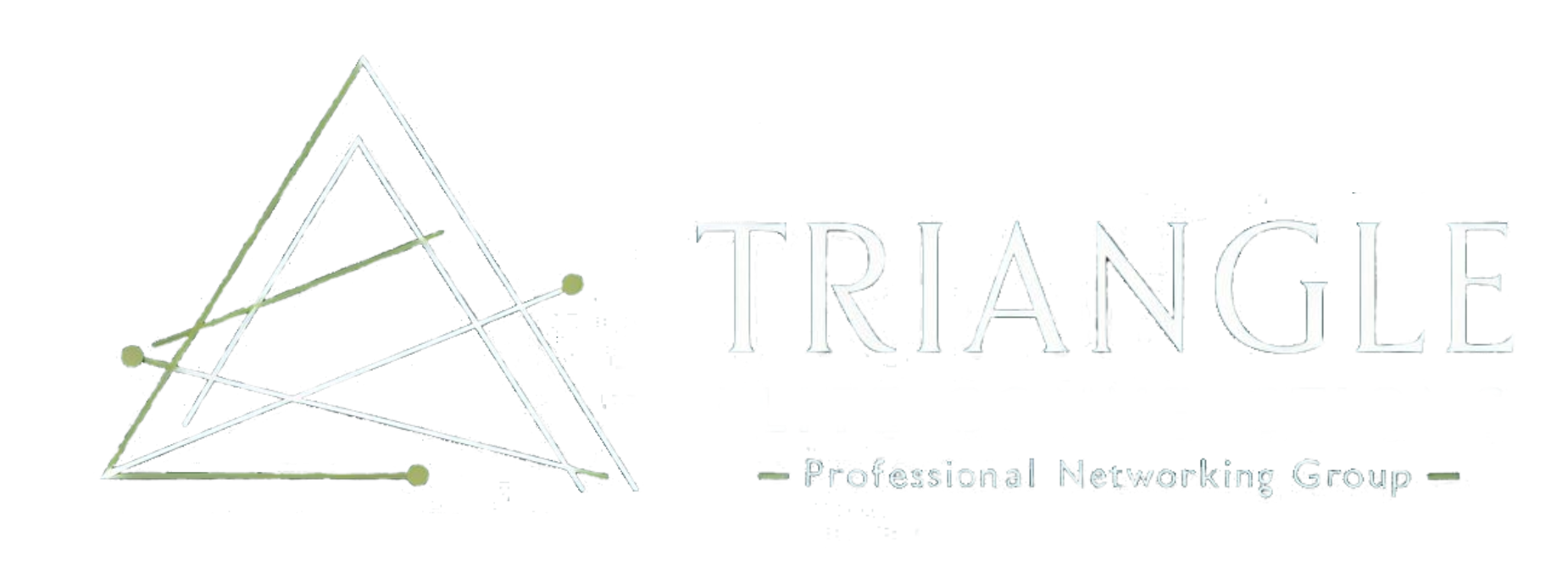 The logo for the triangle professional networking group is a triangle with arrows pointing to it.