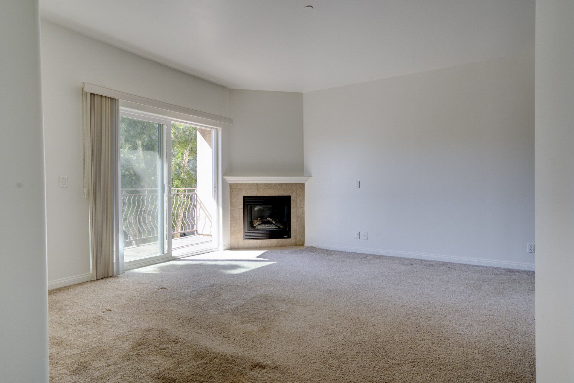 unit 204 living room