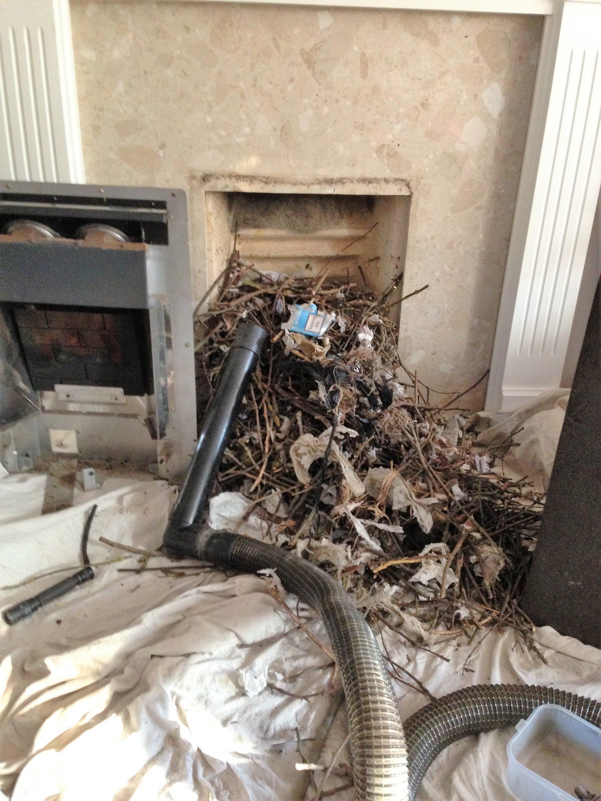 wooden waste accumulated for lighting the fire