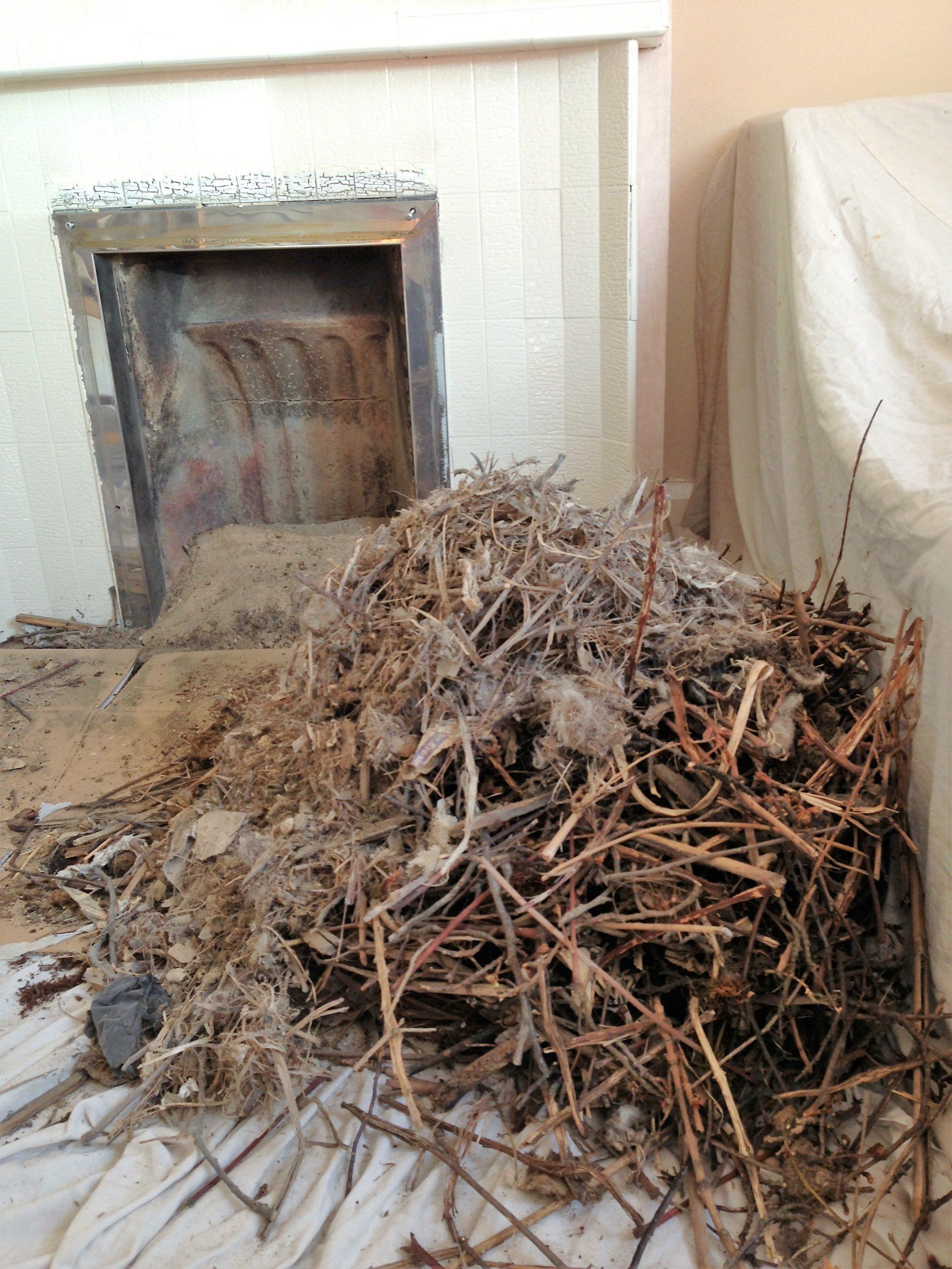 wooden sticks lit for the fire