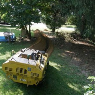 A yellow vehicle with the number 5 on the back