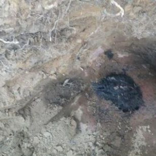 A close up of a hole in the ground with a spider in it.