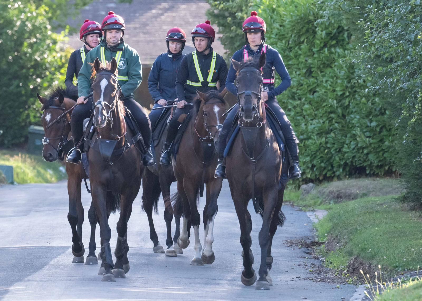 Nck Scholfield Racing Lambourn