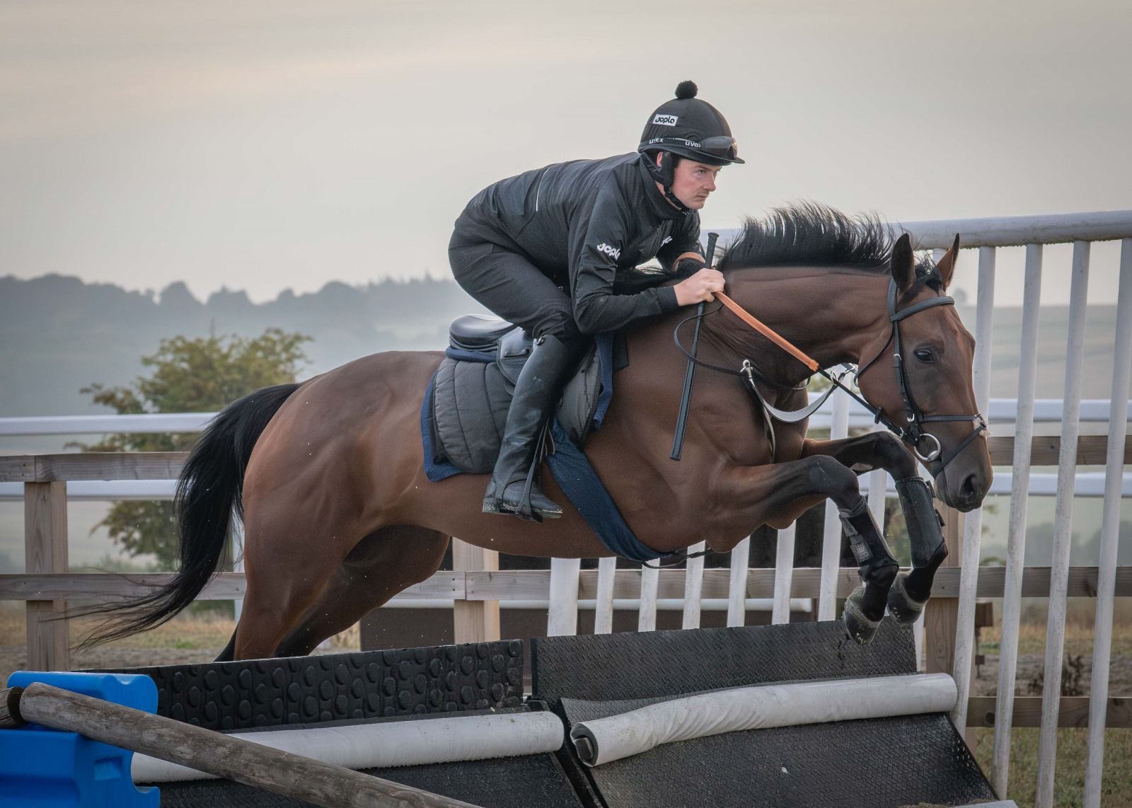Racehorse ownership