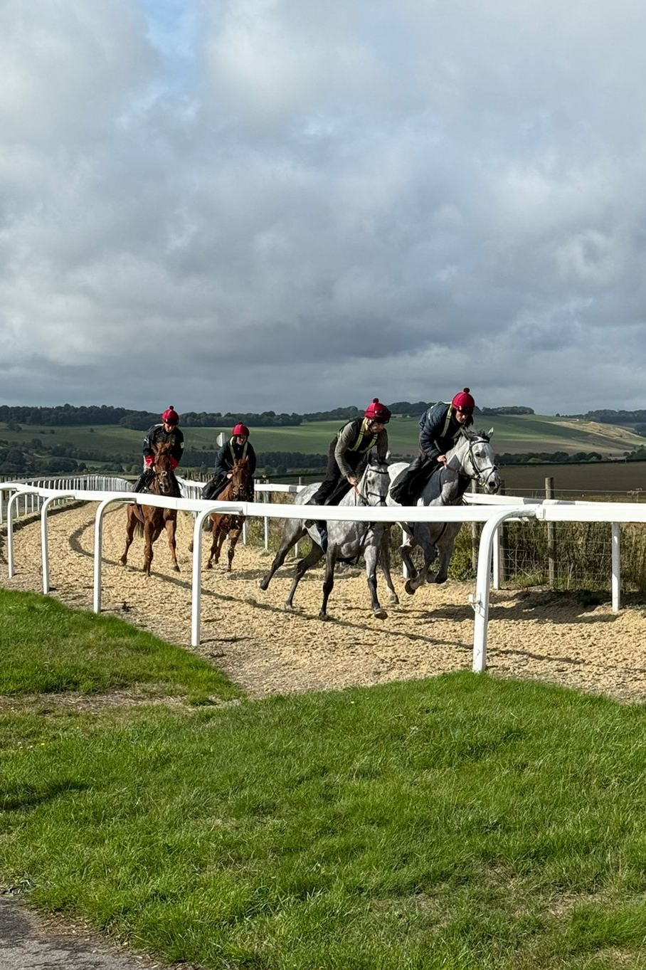Three jockeys on bay horses riding on a track. Riders wear red hats and black clothing. White fence in foreground.