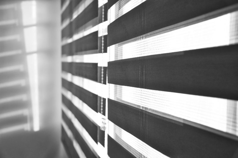 a black and white photo of a zebra blind on a window Close up of dual shades Love is Blinds Georgia.