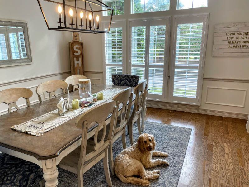 a dog is laying on the floor in front of a dining room table Plantation Shutters with Golden Doodle Love is Blinds Georgia.