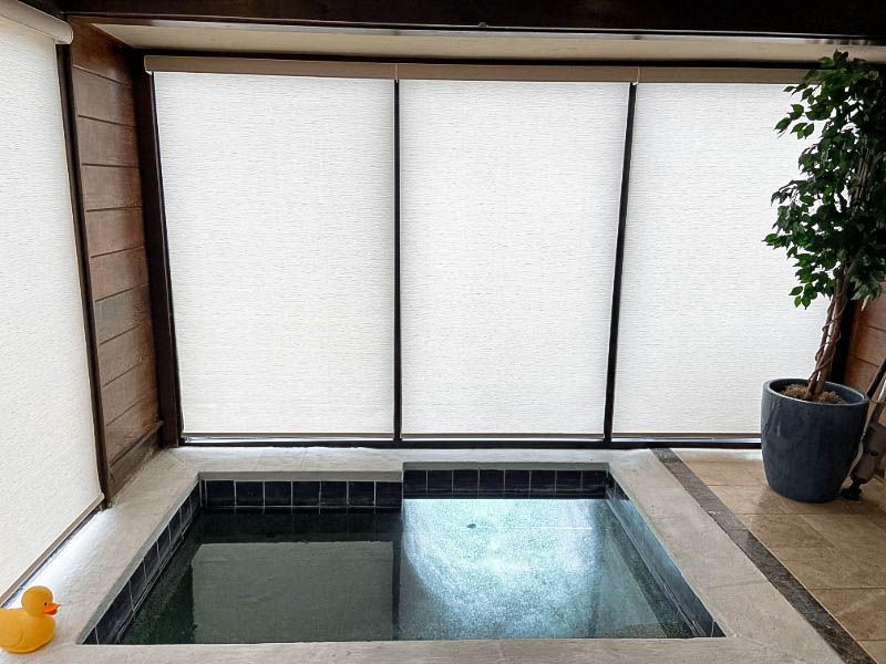 Love is Blinds GA: motorized patio shades cover the windows and a rubber duck sits next to a pool in a room