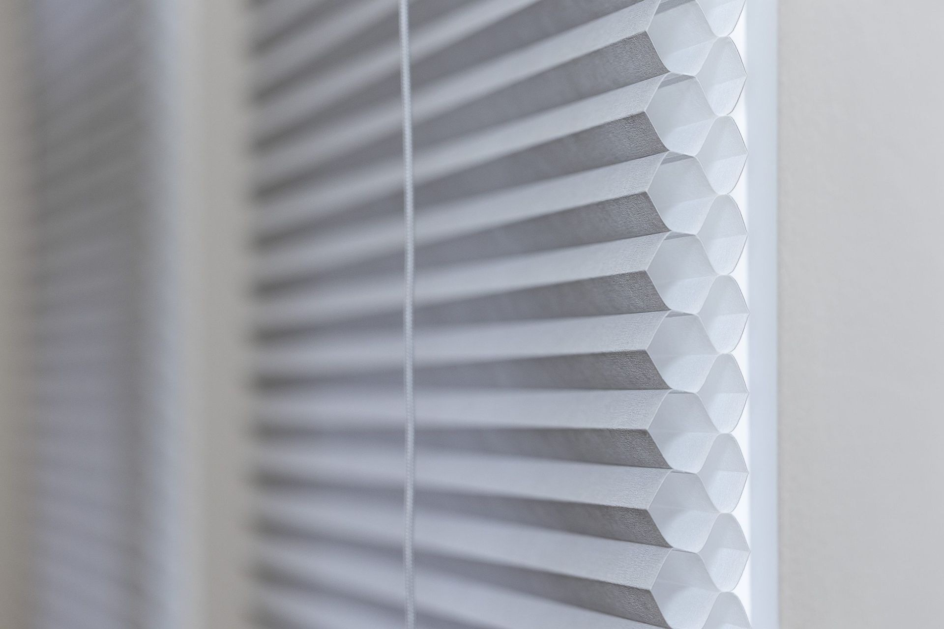 When to Choose Double Cell Blinds