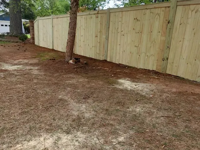 Wooden fence along a yard with pine straw ground cover and a tree.