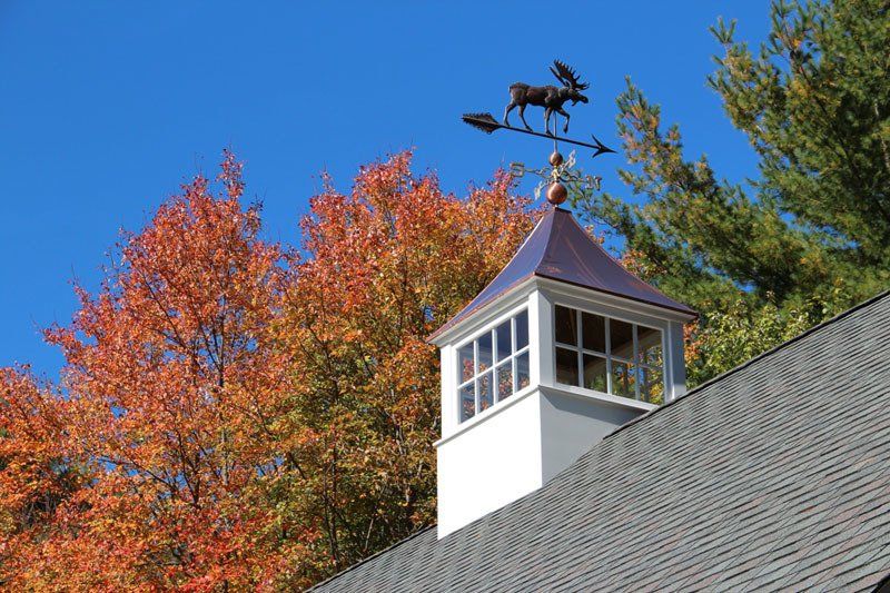 A weather vane with a moose on top of it
