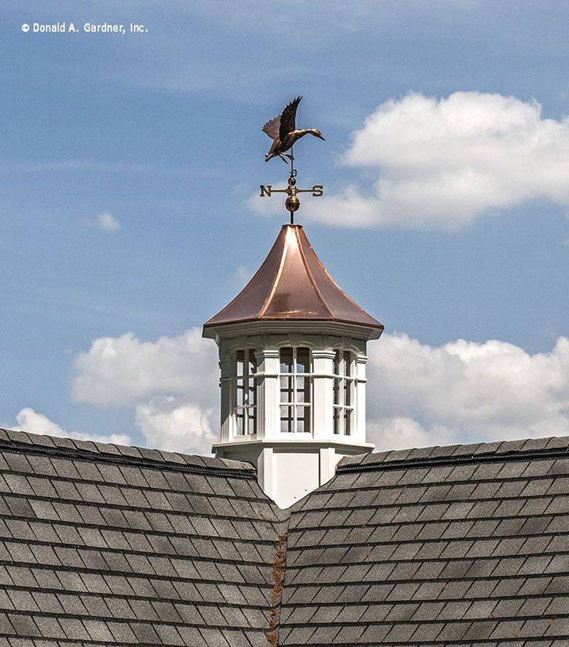 A weather vane on top of a roof with the letter n on it