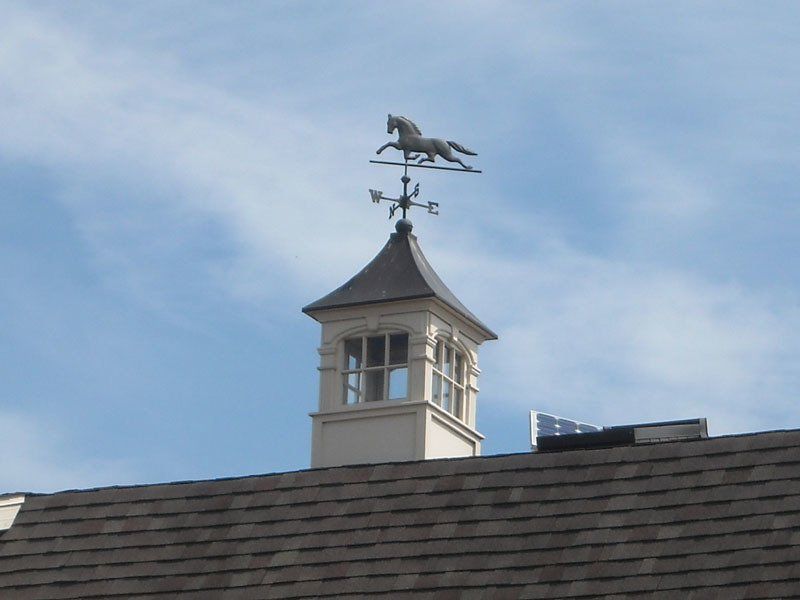 A weather vane with a horse on top of it