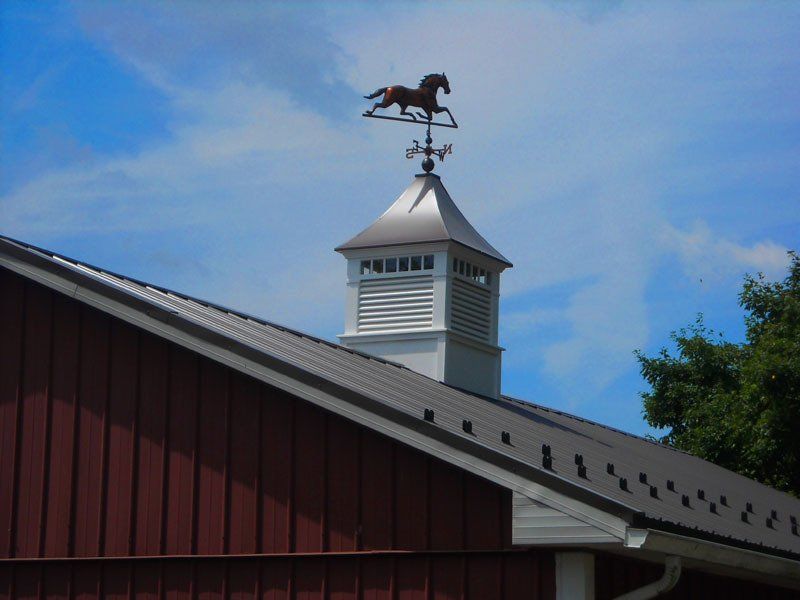A weather vane with a horse on top of it