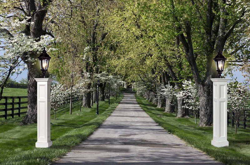 A long driveway lined with trees and lanterns