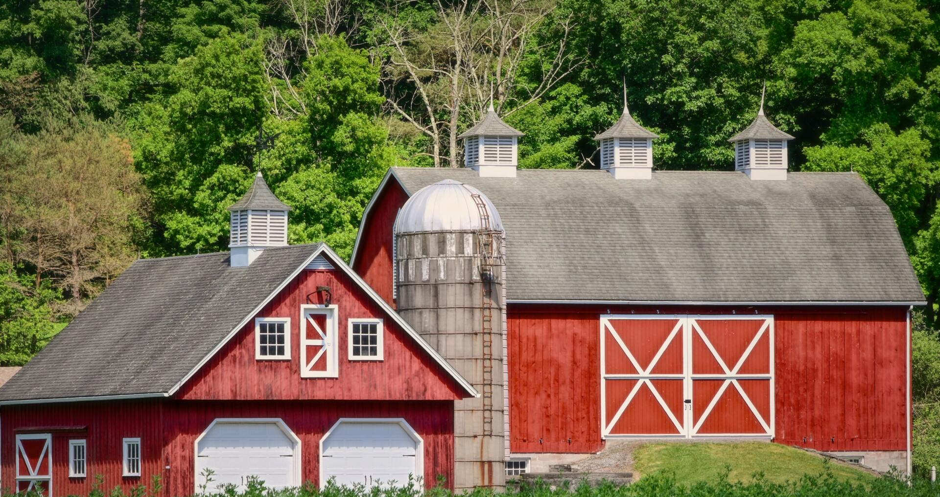 a couple of red barns are sitting next to each other on a farm .