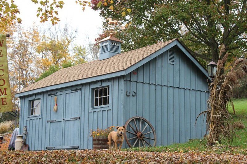 A blue shed with a dog standing in front of it