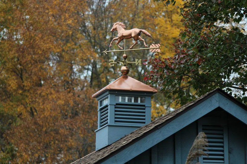 A weather vane with a horse on top of it