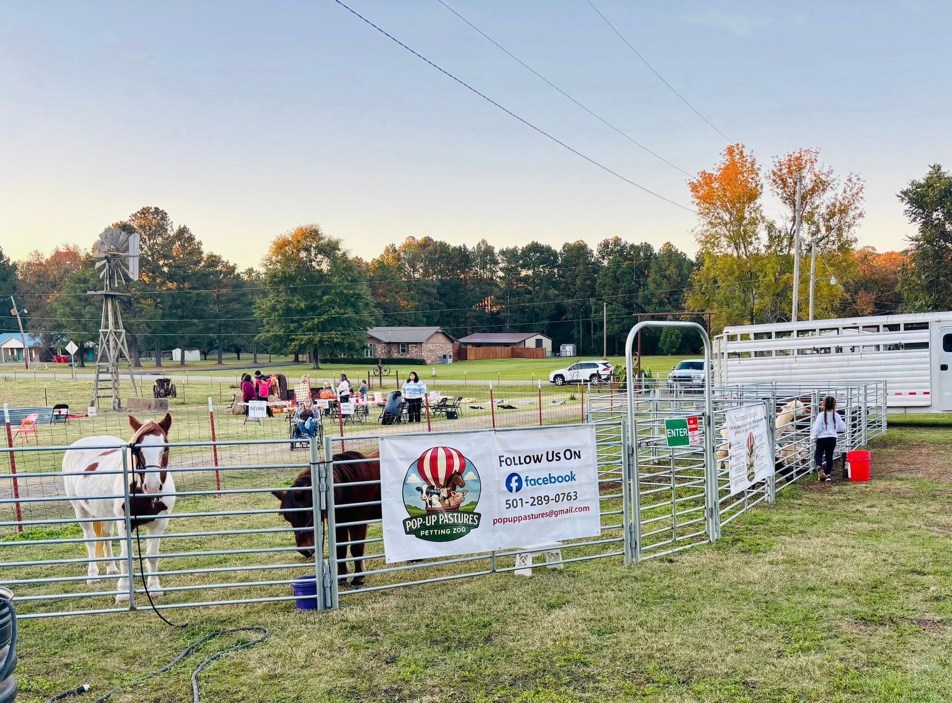 A field with people watching petting zoo activities