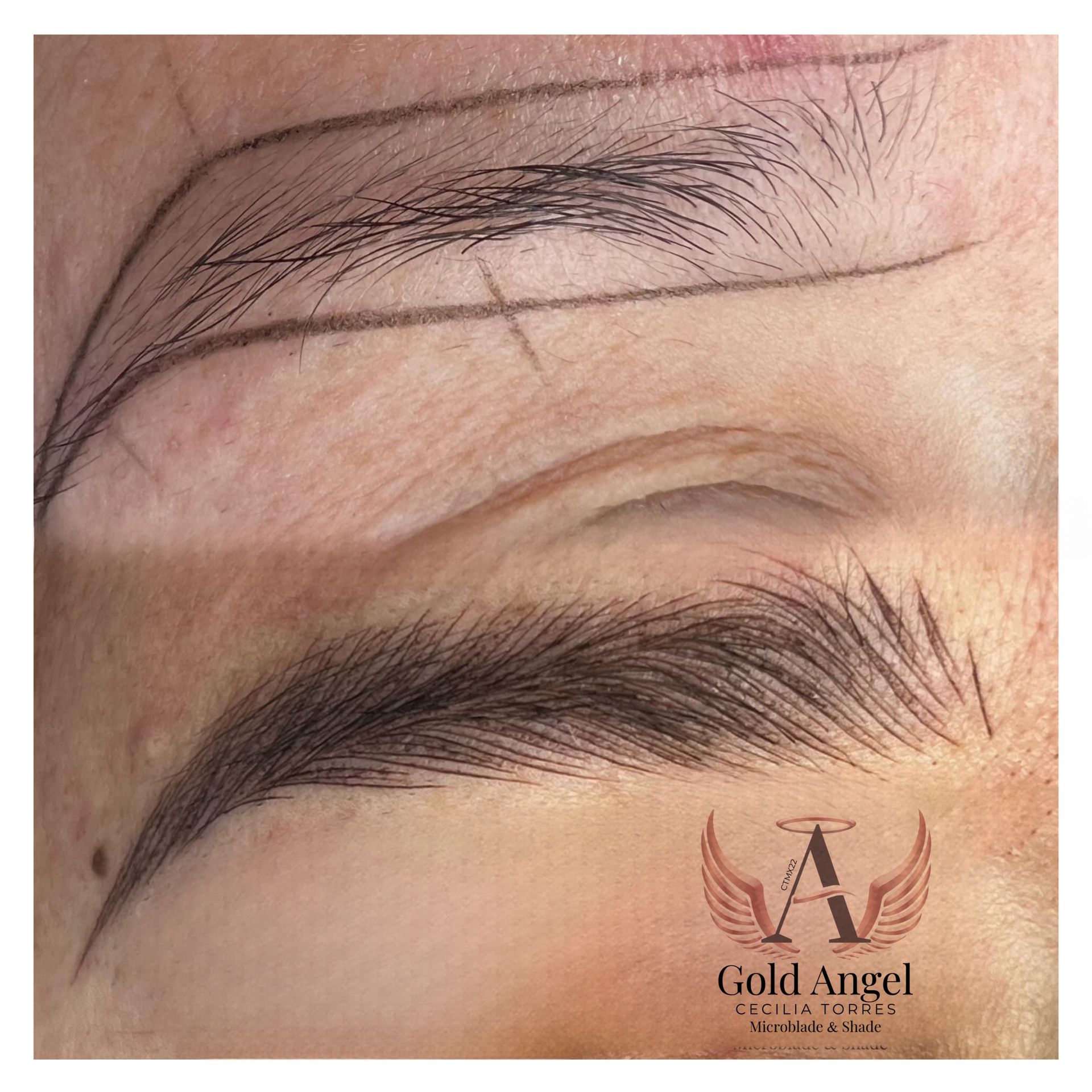 Un primer plano de las cejas de una mujer con un logotipo de Guild Angel.