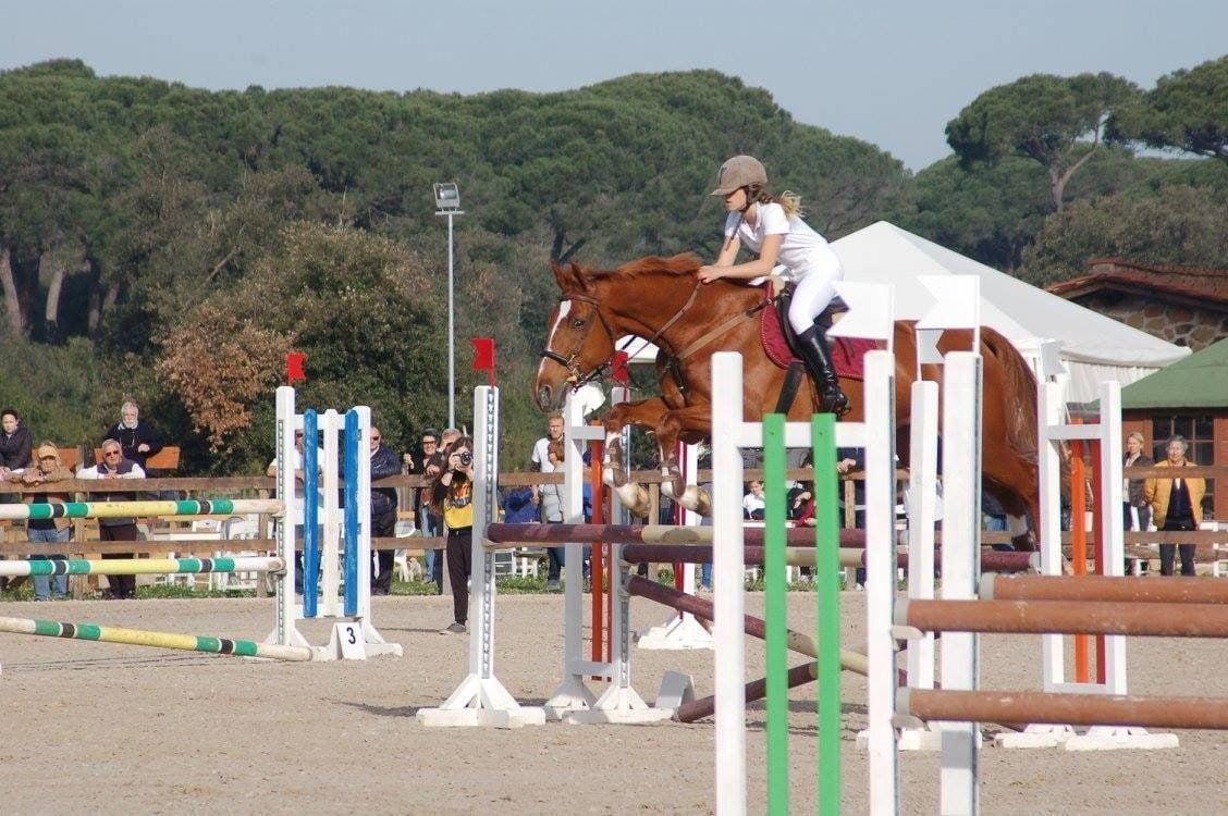 Ostacoli per cavalli