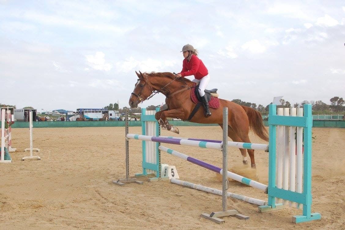 Cavallo che salta ostacolo