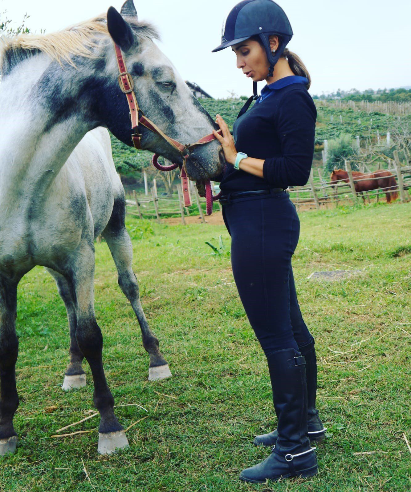 Cavallo e cavallerizza