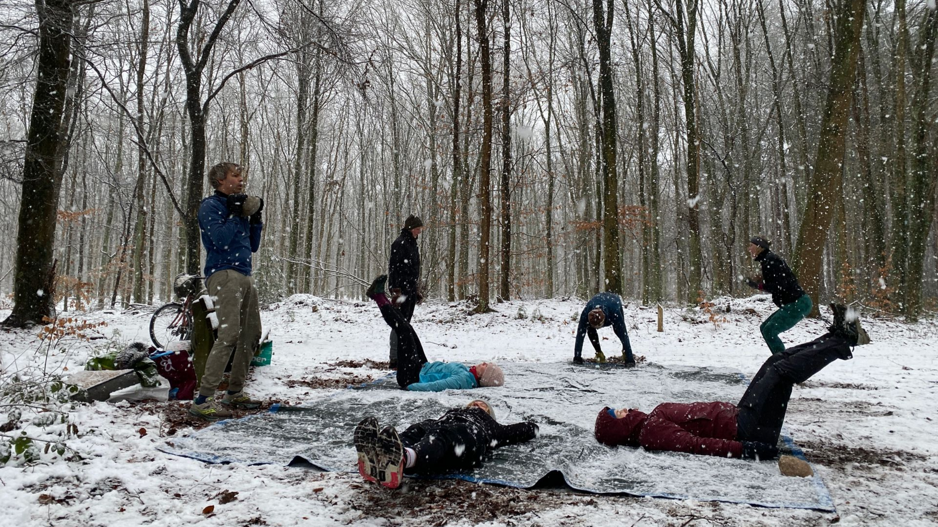 BosFit Witteveen & Rolde